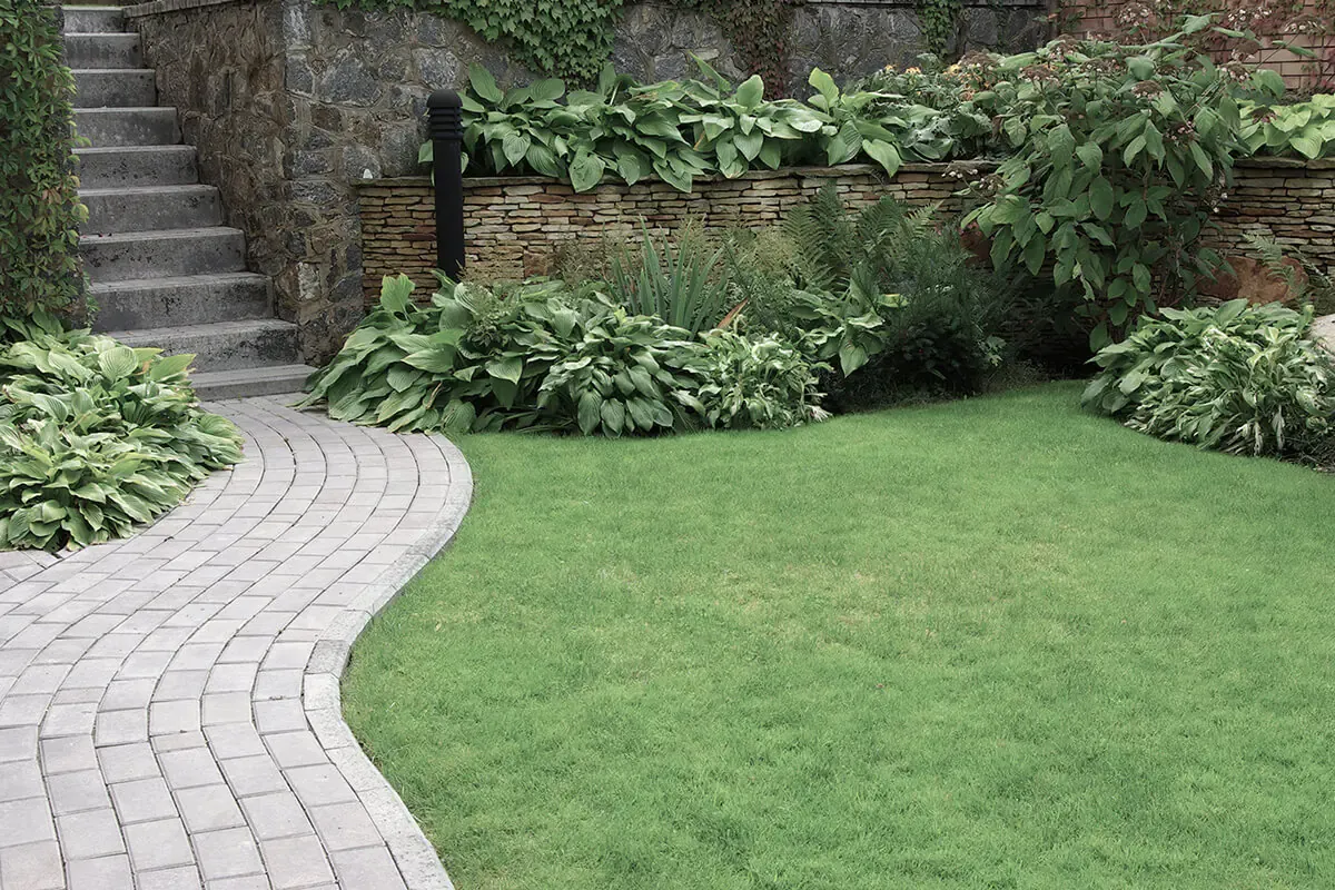 Groundwork underway with stepping stones set into a re-graded garden