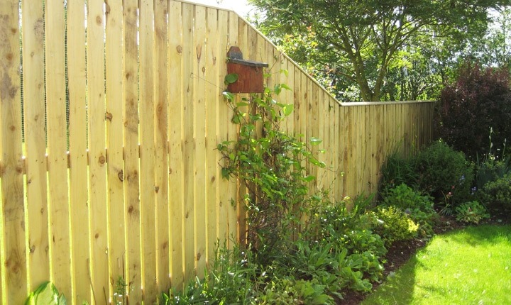 Palisade timber fencing running alongside a planted border and lawn